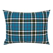 Thomson / Thompson / MacTavish tartan, 6"