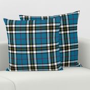 Thomson / Thompson / MacTavish tartan, 6"