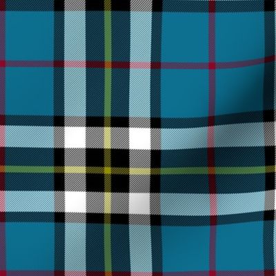 Thomson / Thompson / MacTavish tartan, 6"