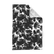 floral meadow black and white