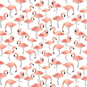 Flamingo Party (Small)