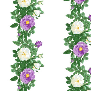 rose_border_purple_and_white_2_a_large_12x12_vert