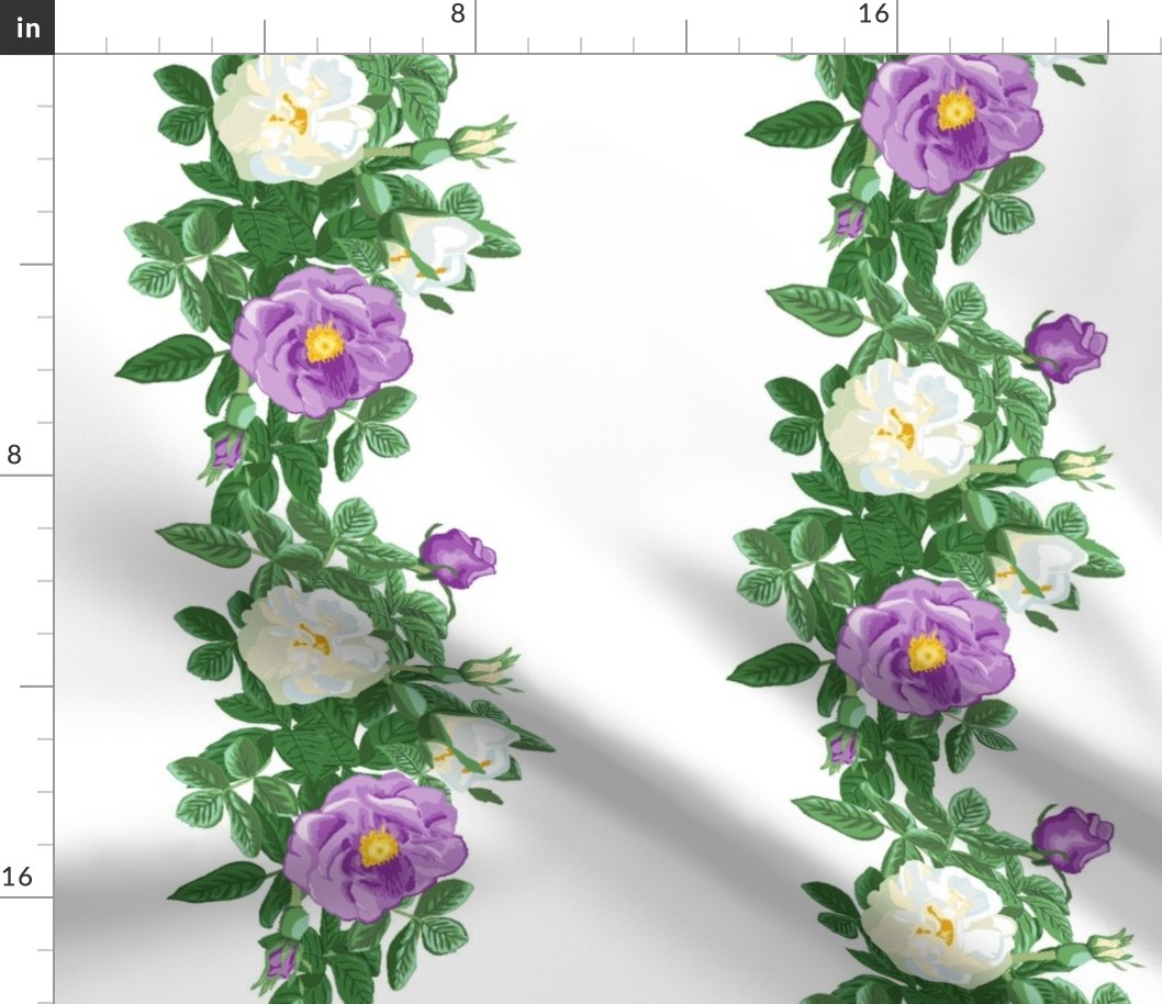 rose_border_purple_and_white_2_a_large_12x12_vert
