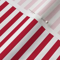 - american stripes -