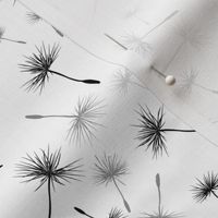 Dandelions Black on white