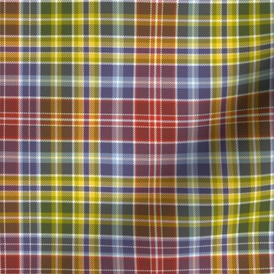 Waggrall family tartan - 9" autumncolors