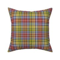 Waggrall family tartan - 9" autumncolors