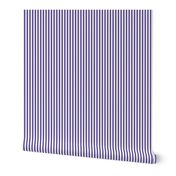 purple vertical stripes .25"