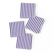 purple vertical stripes .25"