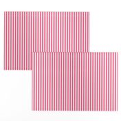 hot pink vertical stripes .25"