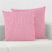 hot pink vertical stripes .25"