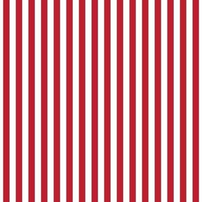 red vertical stripes .25"