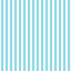 sky blue vertical stripes .25"