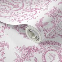 Capetian Toile in sorbet