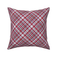 KiniArt Smart & Spiffy Seattle Plaid 