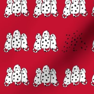 A row of Dalmatians in red 