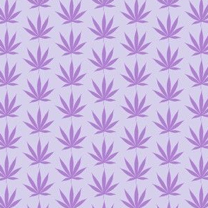 Purple weed