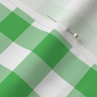 1" Spearmint green and white gingham check