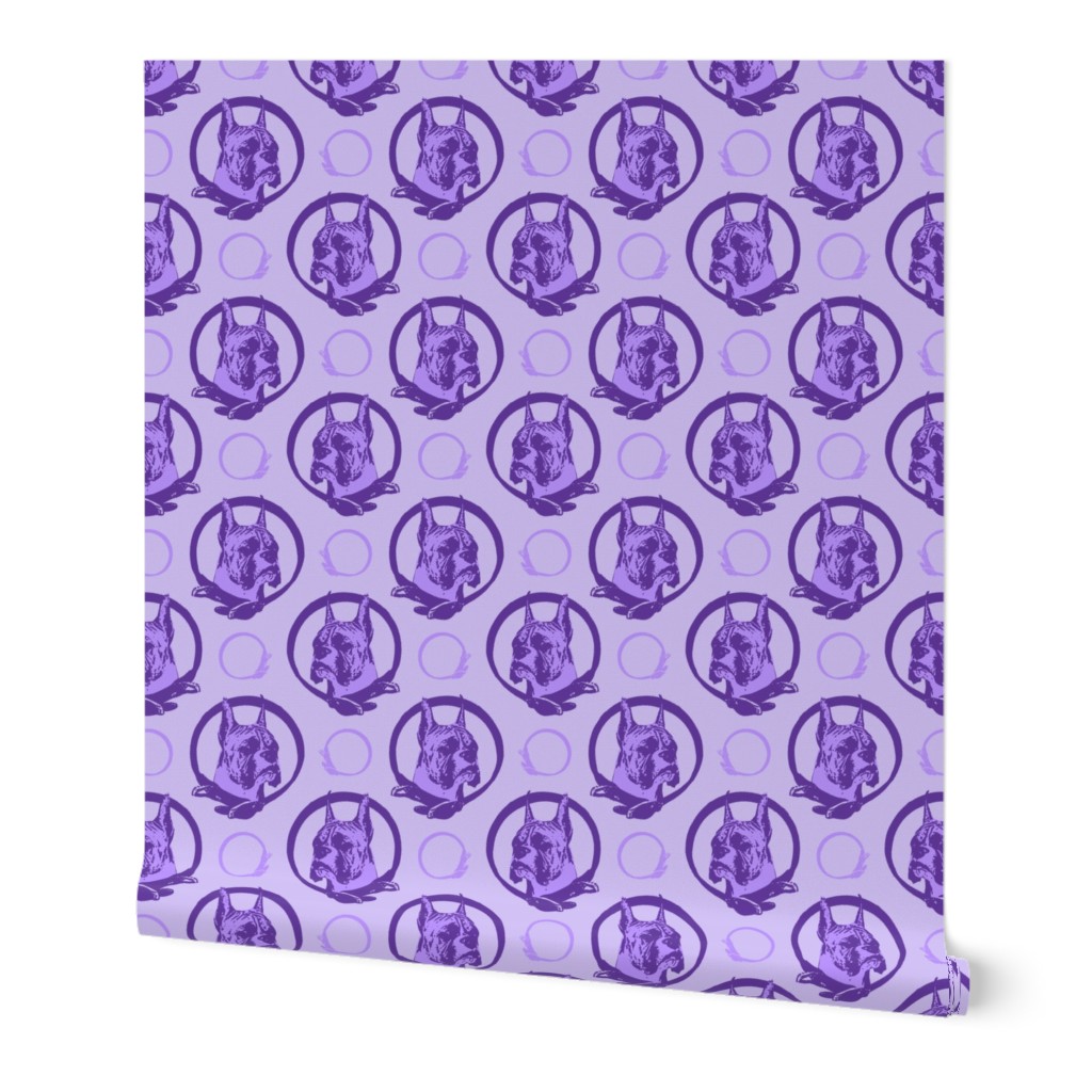 Collared Boxer portraits - purple