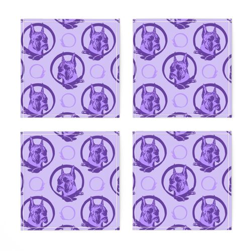 Collared Boxer portraits - purple