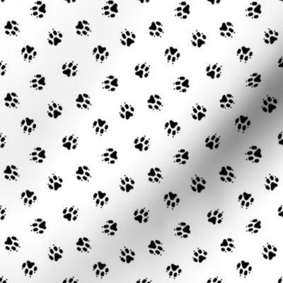 Trotting paw prints coordinate - white