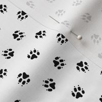 Trotting paw prints coordinate - white