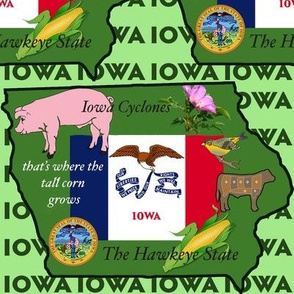 State of Iowa fabric