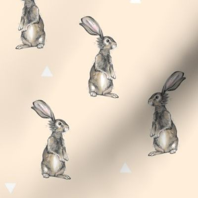 Rabbits + Triangles on Peach