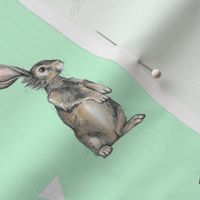 Rabbits + Triangles on Mint