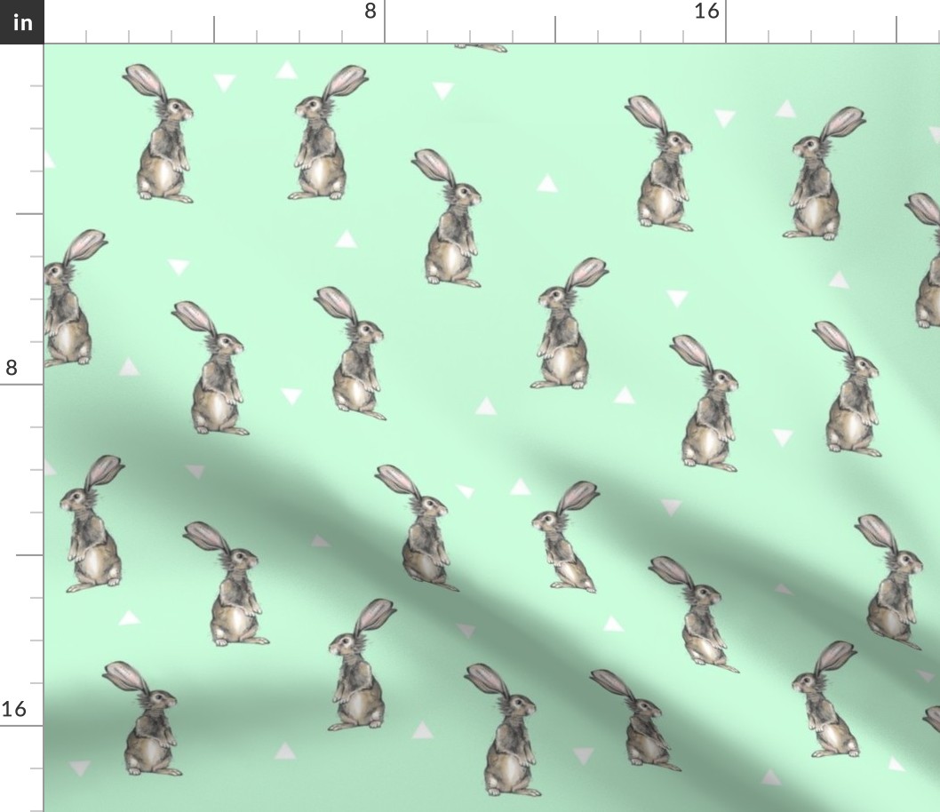 Rabbits + Triangles on Mint