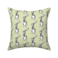 Pencil Rabbits on Light Green