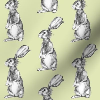 Pencil Rabbits on Light Green