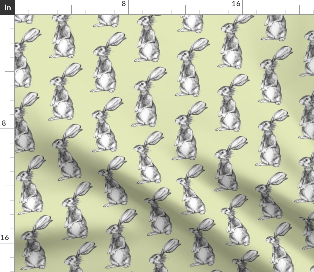 Pencil Rabbits on Light Green