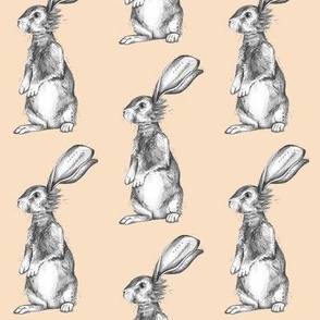 Pencil Rabbits on Peach