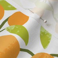 Retro Kitchen - Printed Oranges