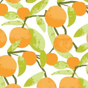 Retro Kitchen - Printed Oranges