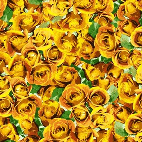 Abundant Roses - Gold