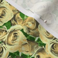 Abundant Roses - Antique Cream