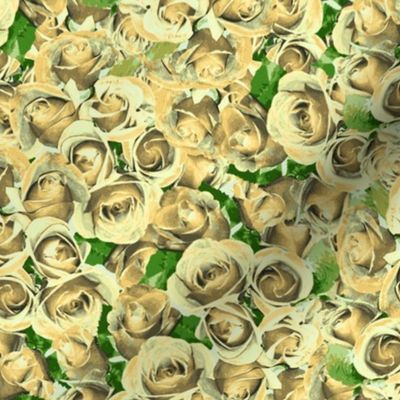 Abundant Roses - Antique Cream