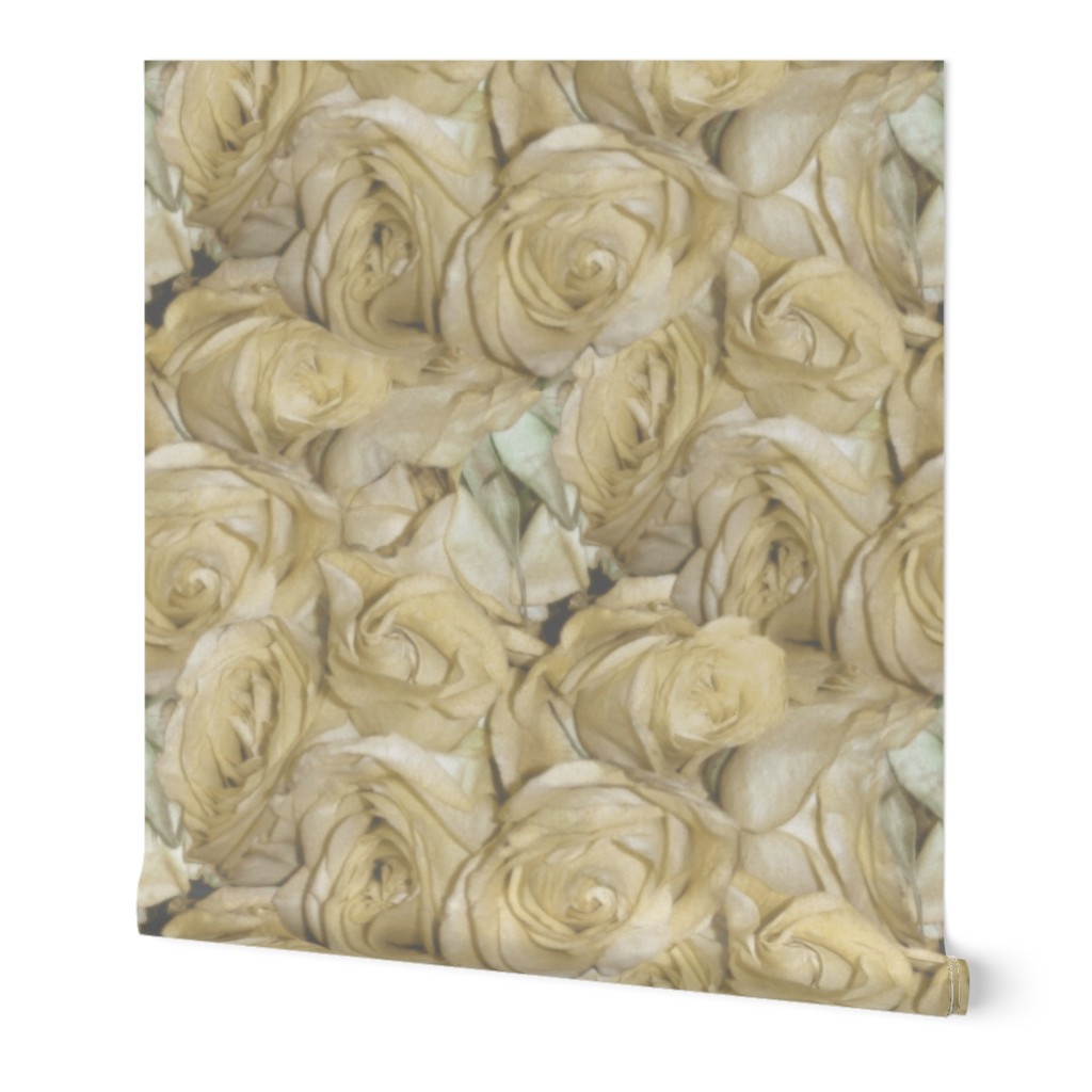 A Dozen Dozen Roses ~ Antique Cream Wash 