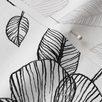 Black & White Floral Line Drawing Pattern