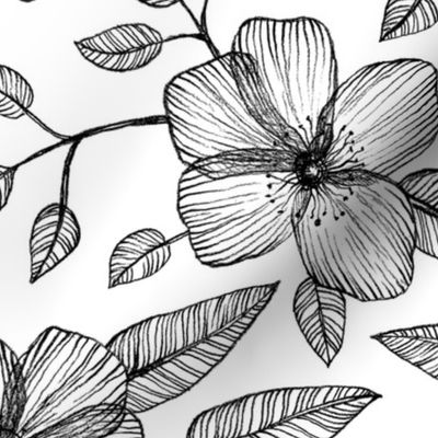 Black & White Floral Line Drawing Pattern