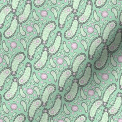 Mint Green Pickle Paisley