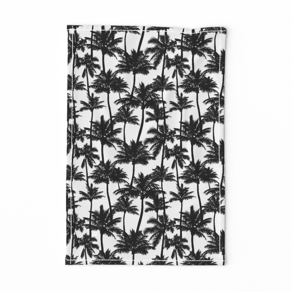 Palm Trees / Black And White / Small Scale