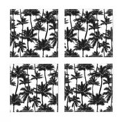 Palm Trees / Black And White / Small Scale