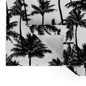 Palm Trees / Black And White / Small Scale