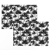 Palm Trees / Black And White / Small Scale