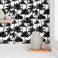 Palm Trees / Black And White / Small Scale