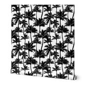 Palm Trees / Black And White / Small Scale