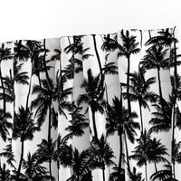 Palm Trees / Black And White / Small Scale